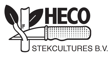 heco stekcultures