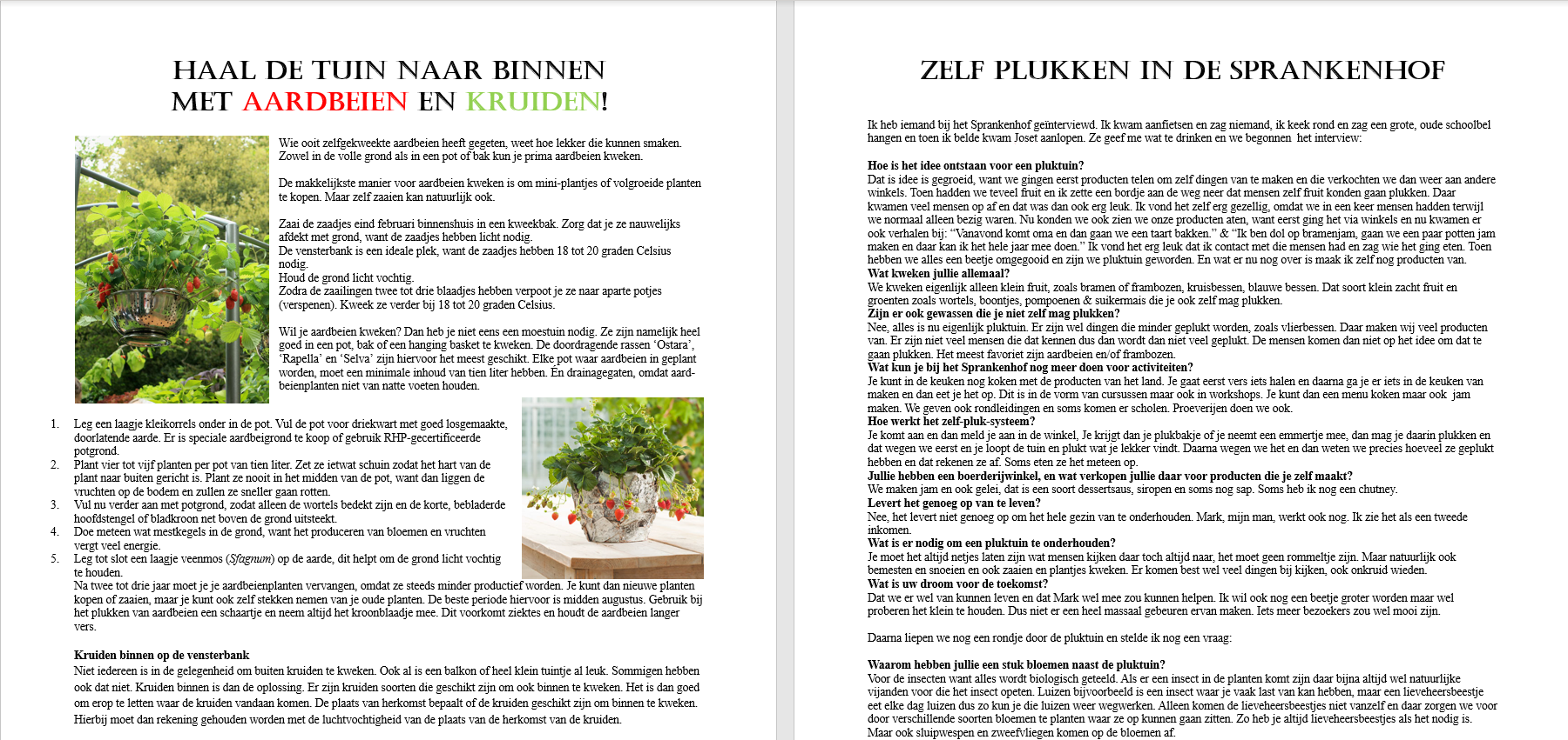tuin in de keuken